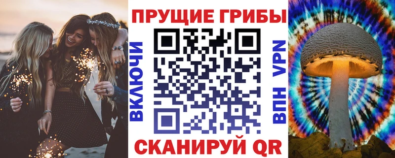 МЕГА зеркало  Шимановск  Галлюциногенные грибы Magic Shrooms 